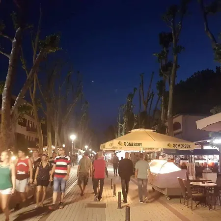 Daire Syrah Wellness *