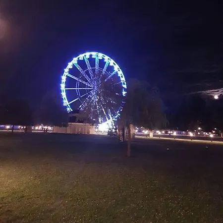 Daire Syrah Wellness *